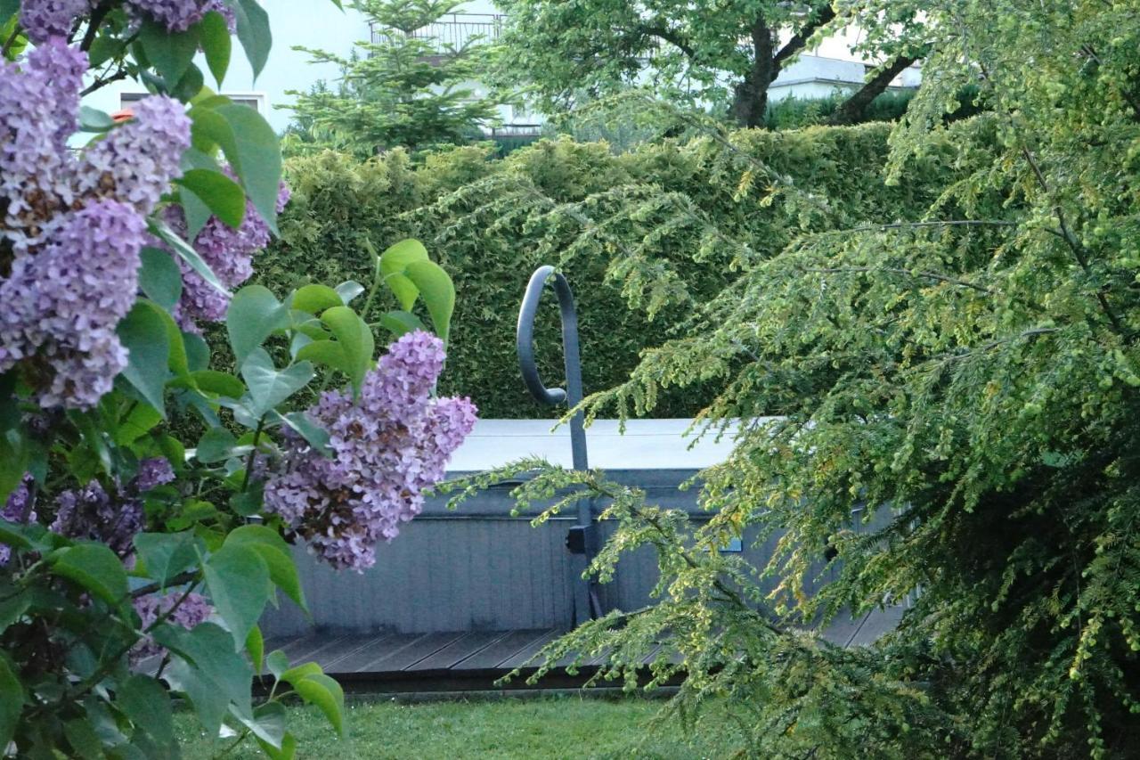 Pension Nr. 13 - B&B เพียร์นา ภายนอก รูปภาพ